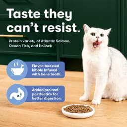 Jinx Atlantic Salmon, Ocean Fish, & Pollock Dry Cat Food, 3 lb Bag - Thumbnail 3