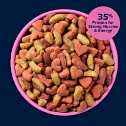 9Lives PLUS High Protein Dry Cat Food, 15.5 lb. Bag - Thumbnail 3