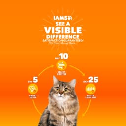 Iams Proactive Health Chicken Dry Cat Food For Kittens, 7 Lb Bag - Thumbnail 15