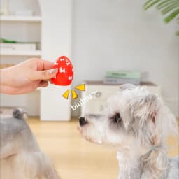4 Pack Soft Bouncing Easter Egg Dog Toys with Squeaker, Durable Flexible Puppy Teething Chew Orbs, Indoor Outdoor Interactive Throw Fetch Balls - Thumbnail 8