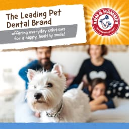 Arm & Hammer Nubbies TriOBone Durable Dental Dog Chew Toy - Thumbnail 5