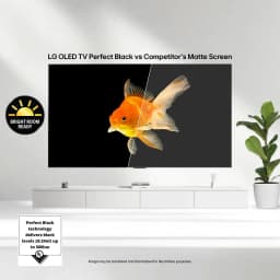 LG 48" C5 Series 4K UHD OLED evo AI Smart webOS 25 TV, OLED48C5PUA - Thumbnail 7