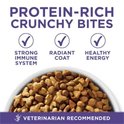 Purina ONE Plus, Hairball Formula Dry Cat Food, Chicken, 16 lb Bag - Thumbnail 2