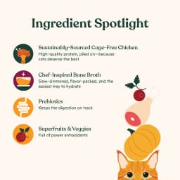 Made by Nacho Dry Cat Kibble, Infused with Bone Broth for Hydration, Cage-Free Chicken & Pumpkin Recipe, High Protein and Grain-Friendly Premium Cat Food, Limited Ingredients, 3lb Bag - Thumbnail 4