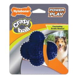 Nylabone Power Play Crazy-Ball Dog Toy, Dog Balls, Interactive Dog Toys, Large - Thumbnail 1