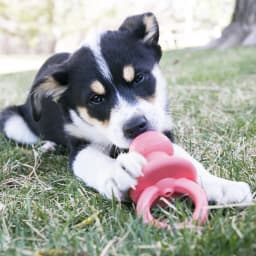 KONG® Puppy Binkie Stuffable Dog Toy, Pink, Medium for Beginner Chewers - Thumbnail 2