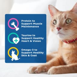 9Lives Daily Essentials Dry Cat Food with Chicken, Beef & Salmon Flavors, 3.15 lb. Bag - Thumbnail 5