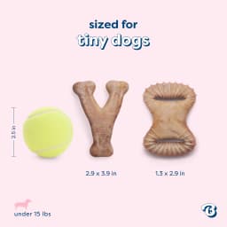 Benebone Essentials Puppy 2-pack Wishbone & Dental Chew Bacon Tiny - Thumbnail 7