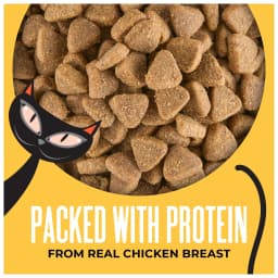 Tiki Cat Born Carnivore Indoor Health Dry Cat Food, Chicken & Turkey Meal, 3 lbs. Bag - Thumbnail 3