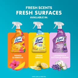 (2 pack) Lysol® All-Purpose Cleaner, Sanitizing and Disinfecting Spray, to Clean and Deodorize, Coconut & Sea Minerals Scent, 32 fl oz - Thumbnail 8