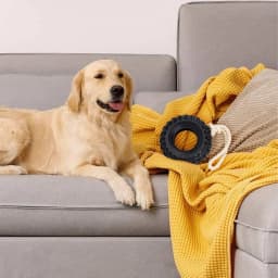 Natural Rubber Dog Tire Chew Toy, Treat Dispensing Dental Teething Toy, Interactive Tug of War Enrichment Toy for Dogs Boredom Relief - Thumbnail 4
