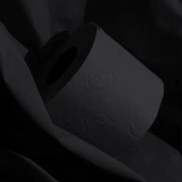 Renova Scented Colored Toilet Paper Packs 3-Ply Bath Tissue Black 1 Pack of 6 rolls - Thumbnail 6