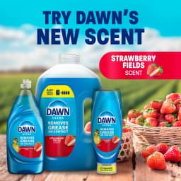 Dawn UltraEZ Squeeze Dish Soap Strawberry Fields, 14.7oz - Thumbnail 4