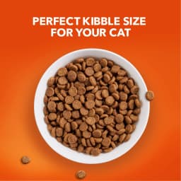 Iams Proactive Health Chicken Dry Cat Food For Senior Cats, 7 Lb Bag - Thumbnail 6