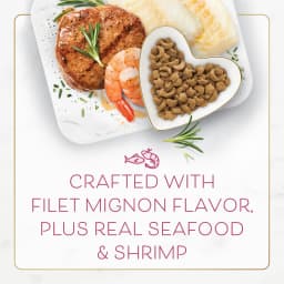 Purina Fancy Feast Dry Cat Food Filet Mignon Flavor with Seafood and Shrimp, 3 lb Bag - Thumbnail 4