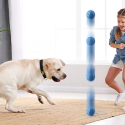 Kyusrd Interactive Dog Toys Dog Ball 2025 New Motion Activated Automatic Rolling Ball Toy for Small/Medium Dogs USB Rechargeable - Thumbnail 6