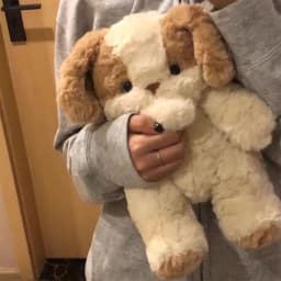 MeetYTOYS Cute Puppy Stuffed Animal Realistic Dog Toy Pet Birthday Gifts for Kids Girls Boys - Thumbnail 6