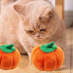 ​2 Pack Durable Pumpkin Chew Toys for Dogs & Cats - Tough Dental Teething Puppy Kitten Toys, Halloween Orange Pet Chewers (5.5 Inch)​​ Orange - Thumbnail 6