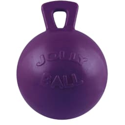 Jolly Pets Tug-n-Toss Ball with Handle Purple 4.5 inch Rubber Toy for Dogs - Thumbnail 6