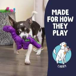 goDog Dinos Bruto Just For Me Squeaky Plush Dog Toy, Chew Guard Technology, Purple, Mini - Thumbnail 6