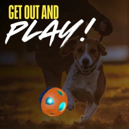Nerf Dog LED Light Up Squeak Bash Ball Dog Toy, Blue/Orange, 3.5 inch - Thumbnail 4
