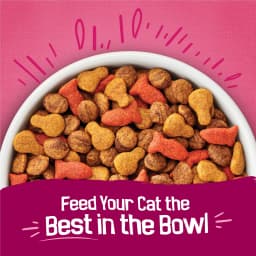 Purina Friskies Gravy Swirlers Dry Cat Food Flavors of Chicken, Salmon and Gravy, 22 lb Bag - Thumbnail 2