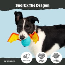 Snorbax Dragon Plush Chew Toy for Medium Dogs - Thumbnail 4