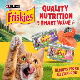 (12 pack) Purina Friskies indoor Meaty Bits Turkey Dinner, Wet Cat Food, 5.5 oz Cans, 24 Pack - Thumbnail 9