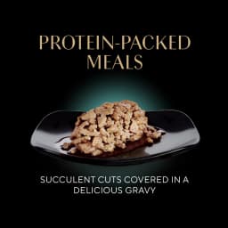 Sheba Perfect Portions Wet Cat Food Cuts in Gravy Tender Trout Entree Twin-Pack, 2.6 oz - Thumbnail 10