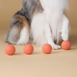 Harry Barker Durable All-Natural Rubber Balls for Dogs, 2.5" Rubber Balls, Orange, 6 Pack Set - Thumbnail 3