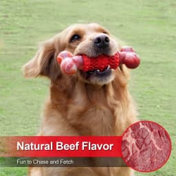 Dog Toys for Aggressive Chewers Bone Dog Toy Interactive Dog Toys for Large Dog Chew Toys for Aggressive Chewers,Dinosam Indestructible Dog Toy - Thumbnail 5