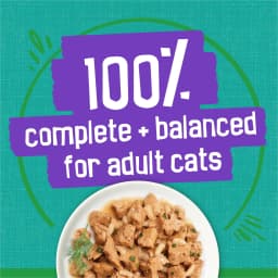 Purina Friskies Indoor, Saucy Seafood Bake, Wet Cat Food, 5.5 oz Can, 24 Pack - Thumbnail 5