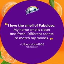 Fabuloso 2X Multi-Purpose Cleaner, No Rinse Floor Cleaner, Tangerine Scent, 56 fl oz - Thumbnail 8