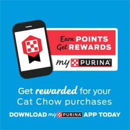 Purina Kitten Chow Naturals Chicken Flavor Dry Cat Food for Kittens, 6.3 lb. Bag, 4 Pack - Thumbnail 11