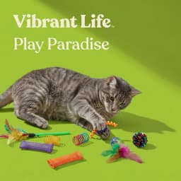 Vibrant Life Value Pack Cat Toys, 24 Pieces - Thumbnail 4