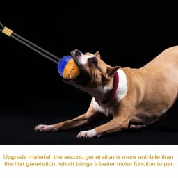 Suction Cup Dog Toy, Upgraded Dog Chew Toy Molar Bite Interactive Dog Toys, Helps Dog Teeth Cleaning - Thumbnail 5