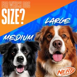Nerf Dog TPR Bash Crinkle & Squeak Football Dog Toy, 6 inch - Thumbnail 5
