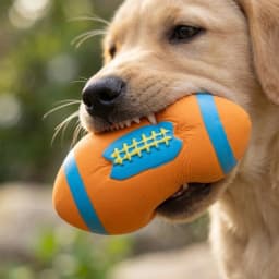 4x2x2in Football Shape Latex Squeaky Dog Toy, Rubber Chew Toy for Small Medium Breed to Fetch And Toss, Easy to Clean After Play, Pet Toy for Home - Thumbnail 4