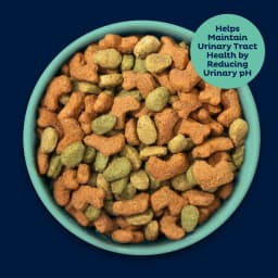 9Lives PLUS Urinary Tract Health Dry Cat Food, 15.5 lb. Bag - Thumbnail 4