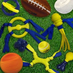 Nylabone Power Play Crazy-Ball Dog Toy, Dog Balls, Interactive Dog Toys, Large - Thumbnail 12