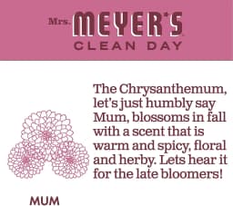 Mrs. Meyer's Clean Day Liquid Dish Soap, Mum Scent, 16 Fluid Ounce, 6 Count - Thumbnail 5