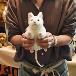 Hansa 5" White Mouse - Thumbnail 6