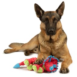 goDog Dino Frills Squeaky Plush Toy for Dogs with Chew Guard Technology for Stronger & Longer Play, Soft & Durable with Built-In Squeaker, Red, Large - Thumbnail 8