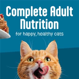 Friskies Fully Load’d Chicken, Salmon, & Tuna Flavor Chunks Wet Cat Food Variety Pack, 5.5 oz. Cans (12 Pack) - Thumbnail 6