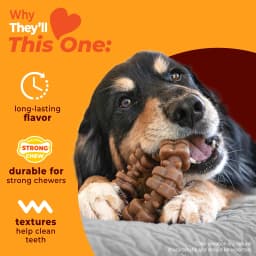 Nylabone Strong Chew Textured Ring Dog Toy, Dog Chew Toy, Made with Real Beef & Chicken Flavor, X-Large, 1 Count - Thumbnail 3