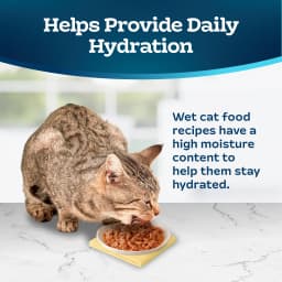 Blue Buffalo Tastefuls Wet Cat Food Variety Pack (Chicken, Turkey & Seafood Flavors) 12ct - Thumbnail 7