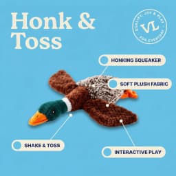 Vibrant Life Multicolor Duck Plush Dog Toy with Honking Squeaker, Chew Level 1 - Thumbnail 5