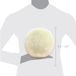 Fresh Cantaloupe, Each - Thumbnail 4