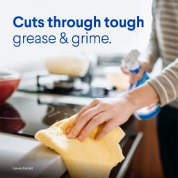 Clorox Clean-Up Multi-Surface All Purpose Cleaner with Bleach, Rain Clean, 32 fl oz - Thumbnail 5