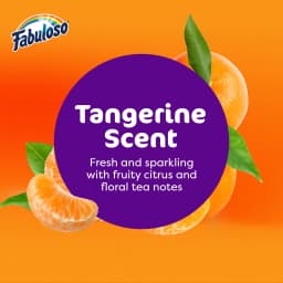Fabuloso 2X Multi-Purpose Cleaner, No Rinse Floor Cleaner, Tangerine Scent, 56 fl oz - Thumbnail 3